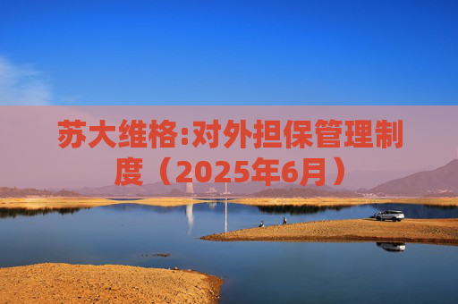苏大维格:对外担保管理制度（2025年6月）