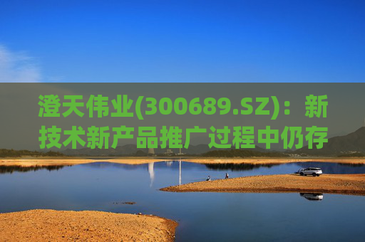 澄天伟业(300689.SZ)：新技术新产品推广过程中仍存在产业化、商用化不达预期的风险