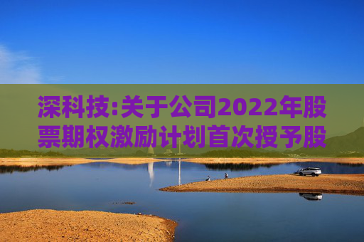 深科技:关于公司2022年股票期权激励计划首次授予股票期权第一个行权期行权条件成就的公告  第1张
