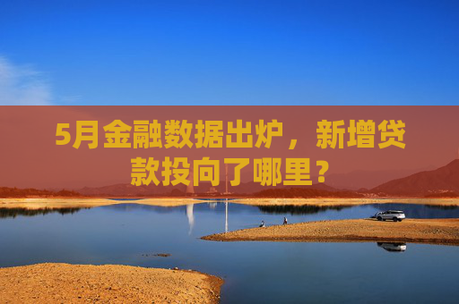 5月金融数据出炉，新增贷款投向了哪里？