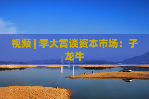 视频 | 李大霄谈资本市场：子龙牛  第1张
