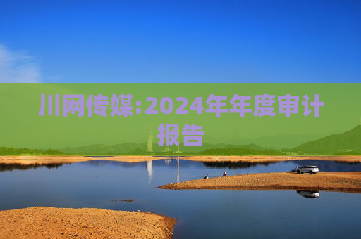 川网传媒:2024年年度审计报告