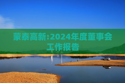 蒙泰高新:2024年度董事会工作报告  第1张