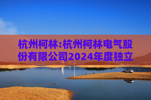 杭州柯林:杭州柯林电气股份有限公司2024年度独立董事述职报告（毛卫民）