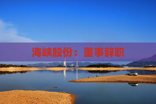 海峡股份：董事辞职