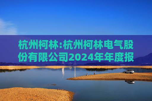 杭州柯林:杭州柯林电气股份有限公司2024年年度报告