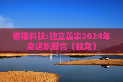 银禧科技:独立董事2024年度述职报告（魏龙）
