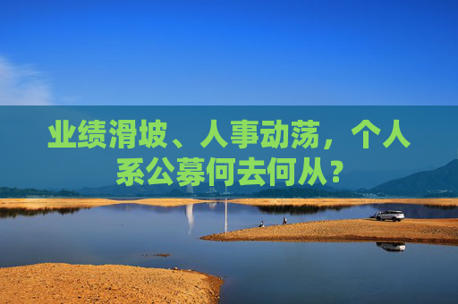 业绩滑坡、人事动荡，个人系公募何去何从？  第1张