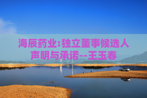 海辰药业:独立董事候选人声明与承诺--王玉春