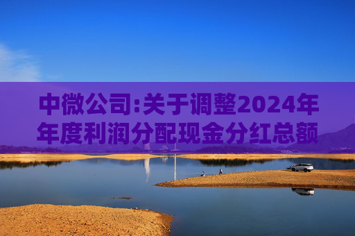 中微公司:关于调整2024年年度利润分配现金分红总额的公告  第1张
