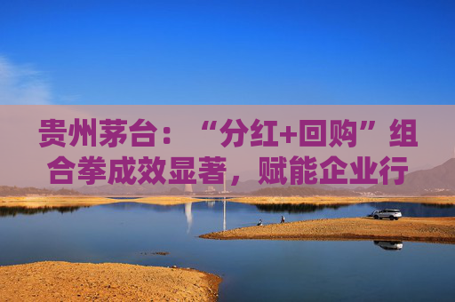 贵州茅台：“分红+回购”组合拳成效显著，赋能企业行稳致远  第1张