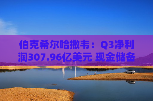 伯克希尔哈撒韦：Q3净利润307.96亿美元 现金储备达3816.7亿美元