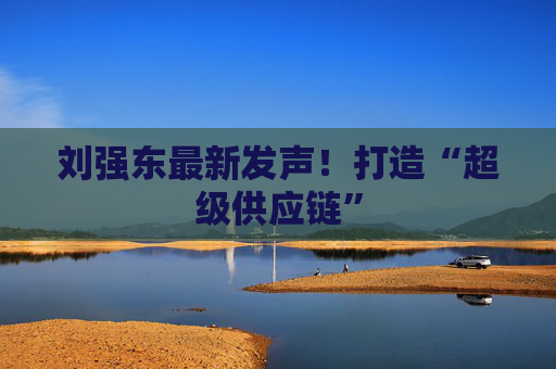 刘强东最新发声！打造“超级供应链”