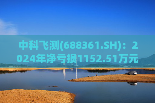 中科飞测(688361.SH)：2024年净亏损1152.51万元