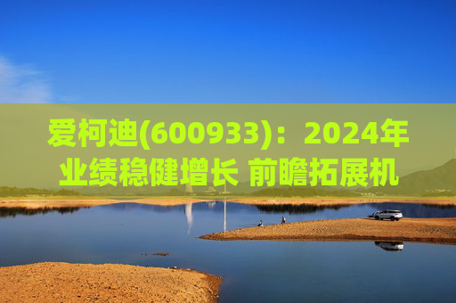 爱柯迪(600933)：2024年业绩稳健增长 前瞻拓展机器人相关业务