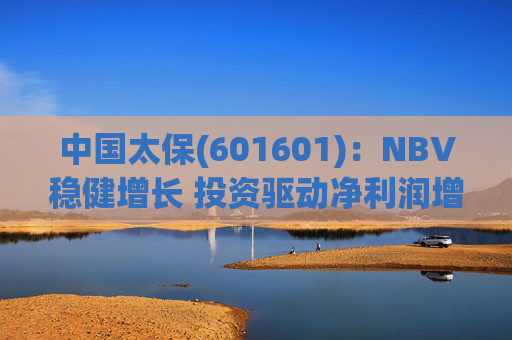 中国太保(601601)：NBV稳健增长 投资驱动净利润增速提升