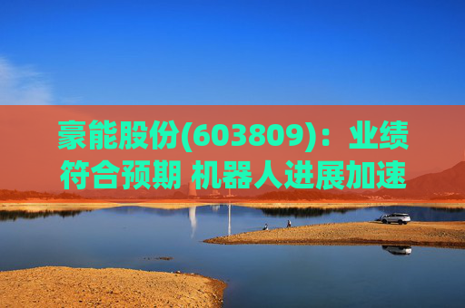 豪能股份(603809)：业绩符合预期 机器人进展加速