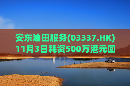 安东油田服务(03337.HK)11月3日耗资500万港元回购472万股  第1张