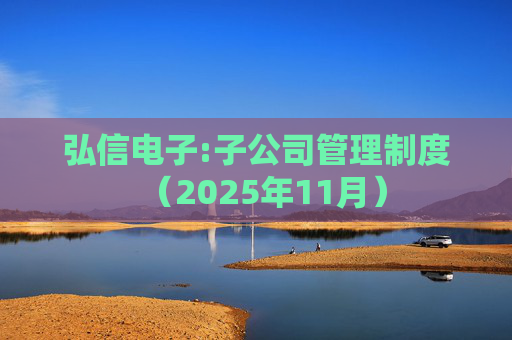 弘信电子:子公司管理制度（2025年11月）