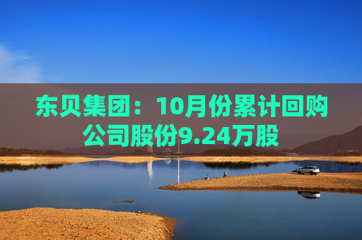 东贝集团：10月份累计回购公司股份9.24万股
