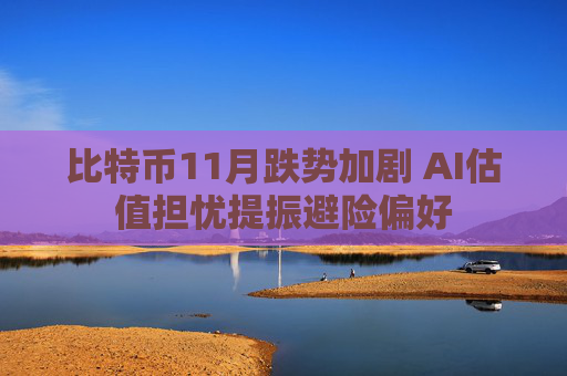 比特币11月跌势加剧 AI估值担忧提振避险偏好
