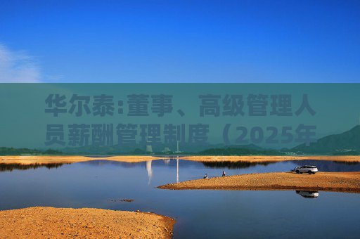 华尔泰:董事、高级管理人员薪酬管理制度（2025年11月）  第1张