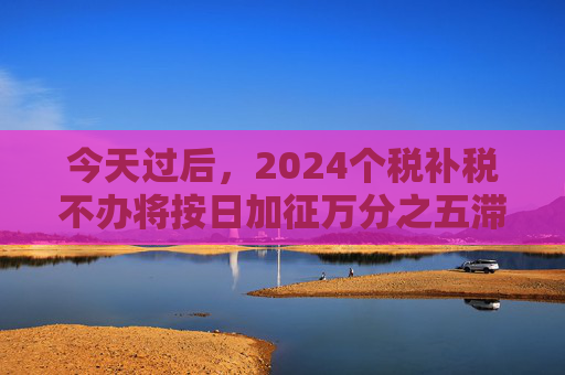 今天过后，2024个税补税不办将按日加征万分之五滞纳金