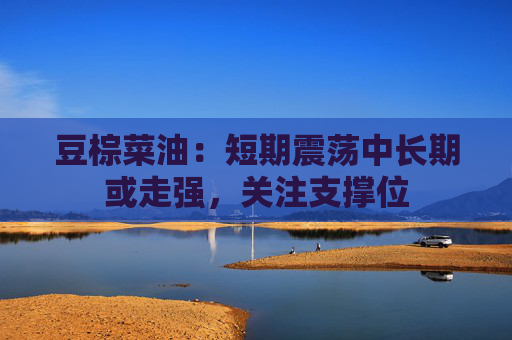 豆棕菜油：短期震荡中长期或走强，关注支撑位  第1张