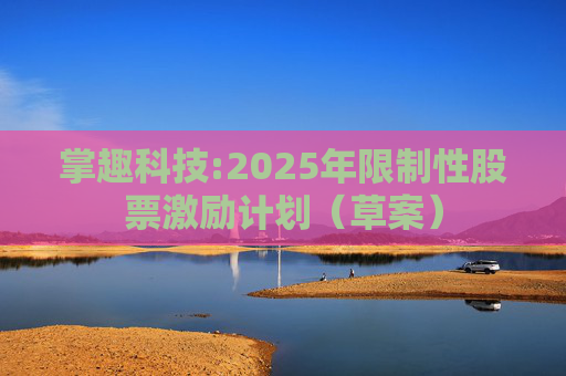 掌趣科技:2025年限制性股票激励计划（草案）  第1张