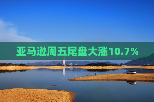 亚马逊周五尾盘大涨10.7%