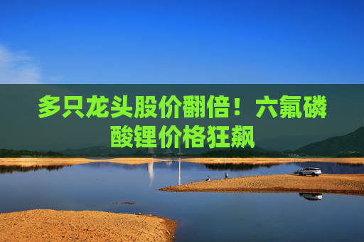 多只龙头股价翻倍！六氟磷酸锂价格狂飙