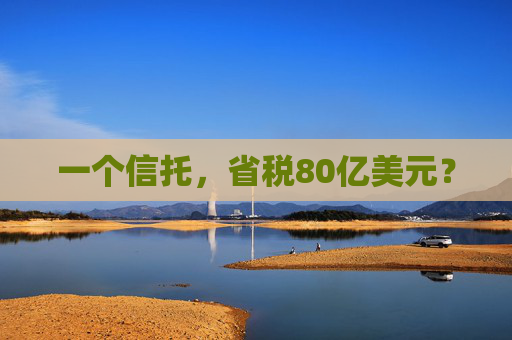 一个信托，省税80亿美元？
