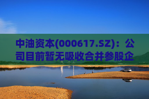 中油资本(000617.SZ)：公司目前暂无吸收合并参股企业昆仑资本的计划