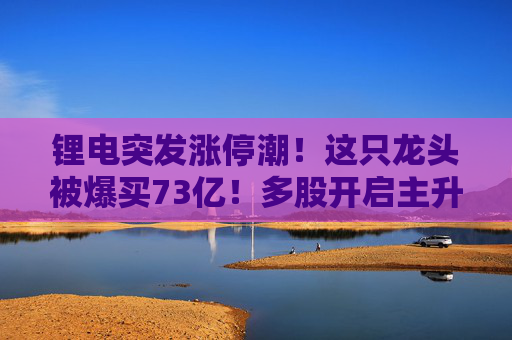 锂电突发涨停潮！这只龙头被爆买73亿！多股开启主升浪  第1张