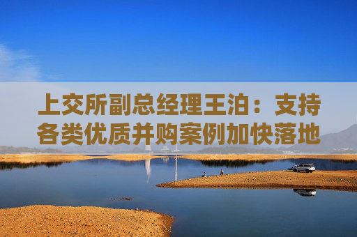 上交所副总经理王泊：支持各类优质并购案例加快落地 推动形成既“放得活”又“管得好”的并购市场秩序