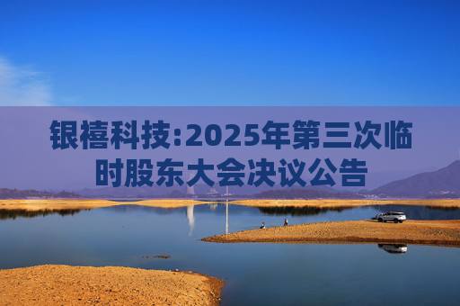 银禧科技:2025年第三次临时股东大会决议公告