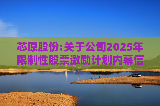 芯原股份:关于公司2025年限制性股票激励计划内幕信息知情人买卖公司股票情况的自查报告