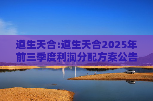 道生天合:道生天合2025年前三季度利润分配方案公告