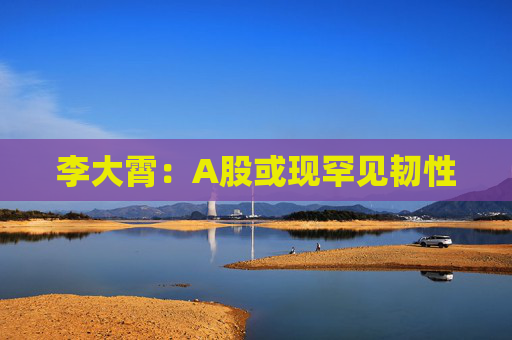 李大霄：A股或现罕见韧性
