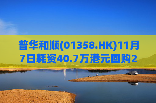 普华和顺(01358.HK)11月7日耗资40.7万港元回购29.5万股  第1张