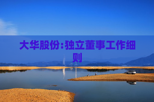 大华股份:独立董事工作细则