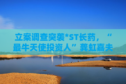 立案调查突袭*ST长药，“最牛天使投资人”龚虹嘉夫妇5.93亿元投资再临挑战