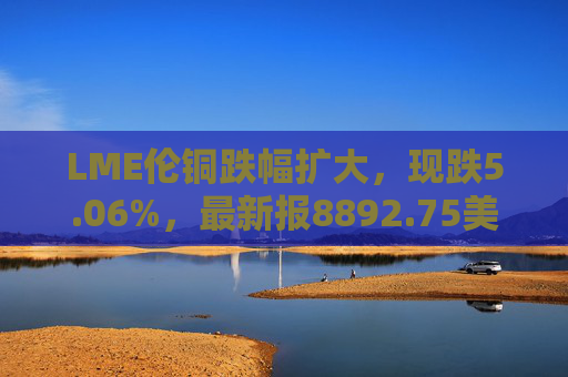 LME伦铜跌幅扩大，现跌5.06%，最新报8892.75美元/吨
