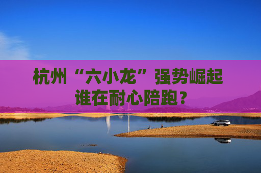 杭州“六小龙”强势崛起 谁在耐心陪跑？