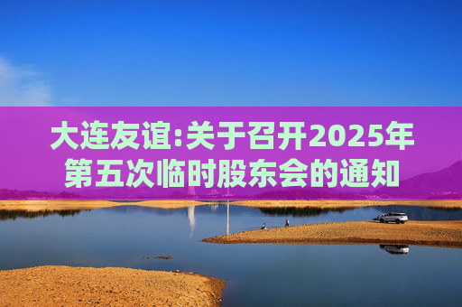大连友谊:关于召开2025年第五次临时股东会的通知