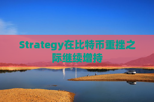 Strategy在比特币重挫之际继续增持