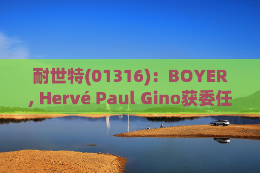 耐世特(01316)：BOYER, Hervé Paul Gino获委任为执行董事  第1张