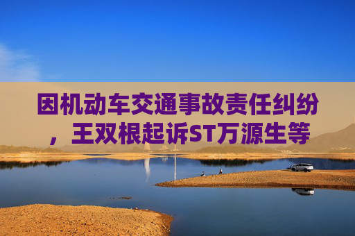 因机动车交通事故责任纠纷，王双根起诉ST万源生等