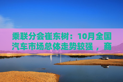 乘联分会崔东树：10月全国汽车市场总体走势较强 ，商用车市场现结构性增长  第1张