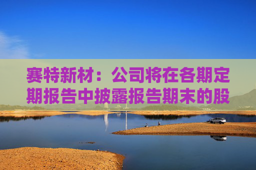 赛特新材：公司将在各期定期报告中披露报告期末的股东人数